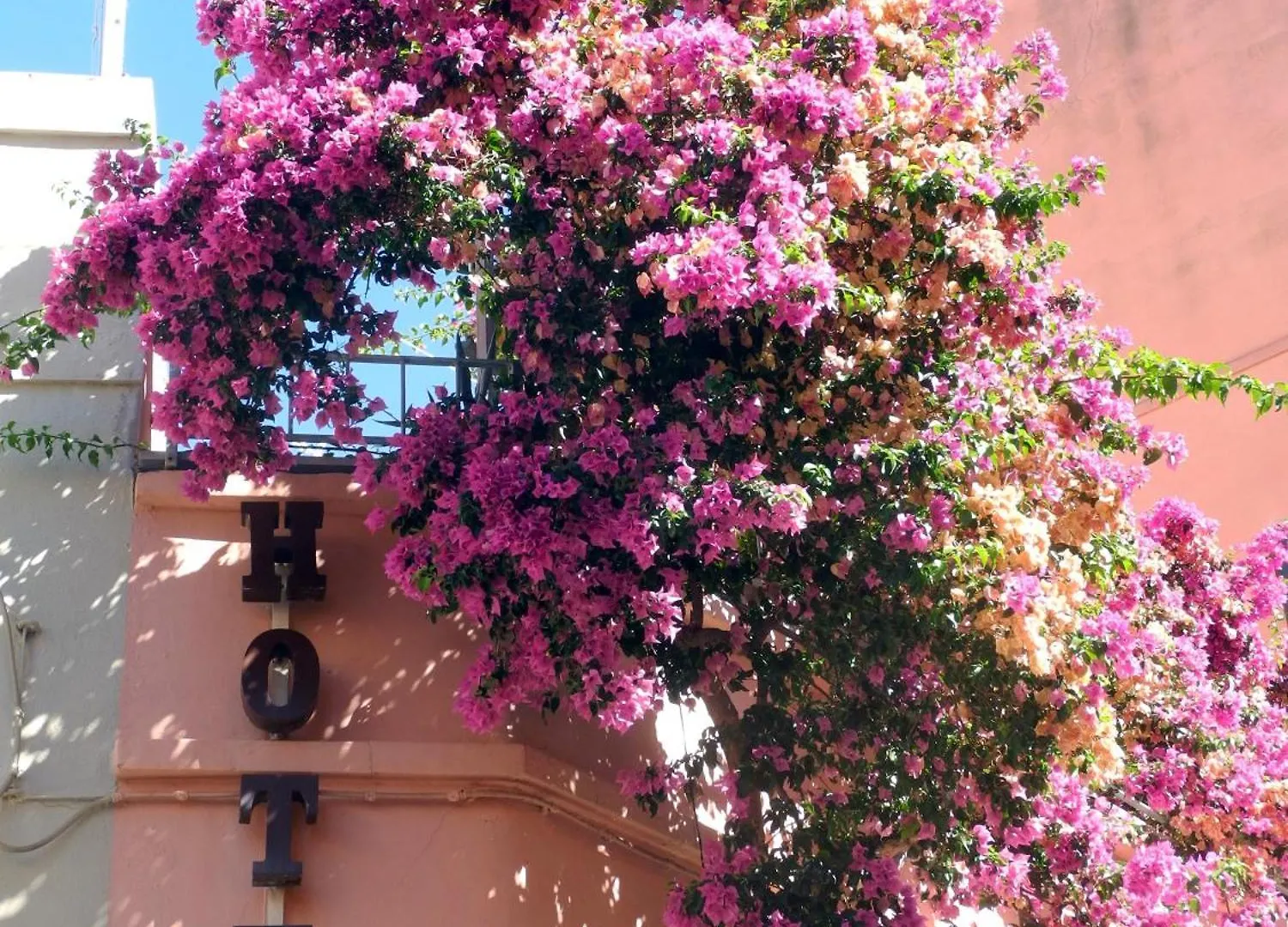 Albergo Italia Piombino