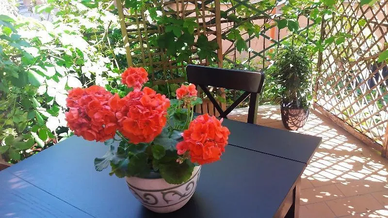 Albergo Italia 피옴비노