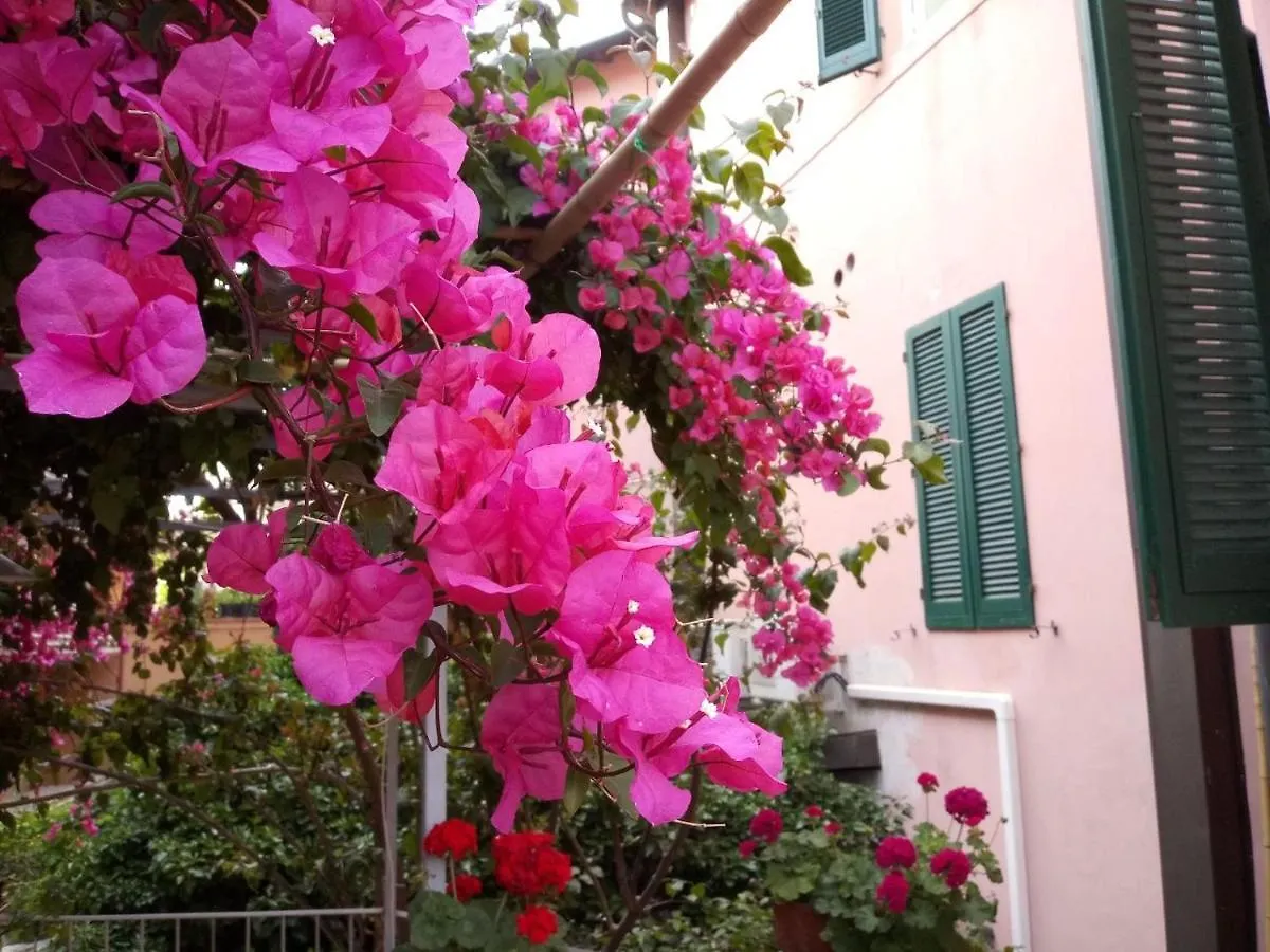 Albergo Italia 피옴비노 호텔